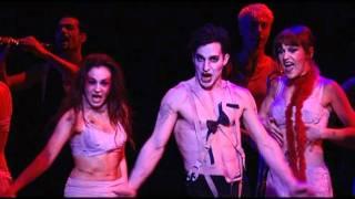 Willkommen - Extrait de Cabaret le musical (Distribution 2006)