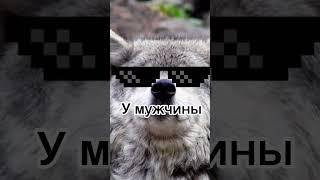 Волк не тот ето волк,а тот ето волк️ #ауф #мем #волк #цитаты