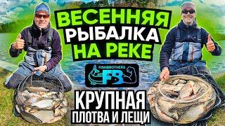 ВЕСЕННИЙ ФИДЕР на реке, ловля осторожной ПЛОТВЫ И ЛЕЩА по холодной воде!