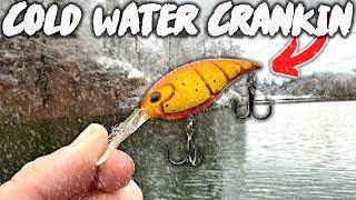 DON'T Go WINTER Fishing WITHOUT This Lure Color (Cold Front KILLER)