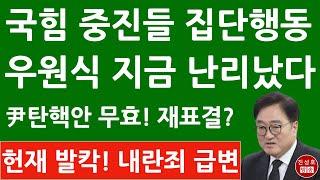 긴급! 우원식 국회의장실 항의방문한 권성동 김기현 조배숙 박대출 등 중진 충격 발언! 내란죄 철회 재표결? (진성호의 융단폭격)