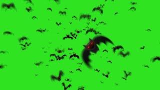 BEST 8 Bats Transition Animation Green Screen || By Green Pedia