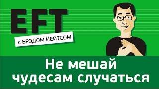 Отойди и не мешай чудесам случаться #брэдйейтс #павелпоздняков