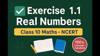 Class 10 Maths Real Numbers | Exercise 1.1 Explained with Easy Solutions