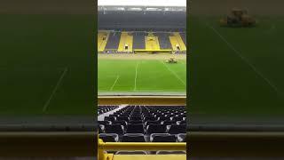 @BORUSSIA DORTMUND!! STADIUM SIGNAL IDUNA PARK  ️