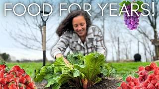 Plant These Crops NOW for More FOOD SECURITY (and save tons of money!)