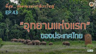 ที่สุด Ep.43 - อุทยานแห่งชาติเขาใหญ่ อุทยานแห่งแรกของประเทศไทย