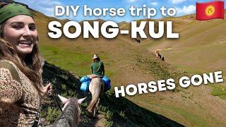 Mountain adventure on horseback with a stranger (and why it turned out differently than planned!)