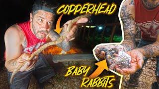 Copperhead - Catch, Clean & Cook! Baby Rabbits! Off Grid AC In A Tiny House?!
