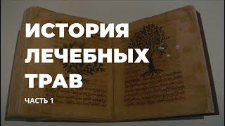 История лечебных трав. Часть 1 / Захар Травник