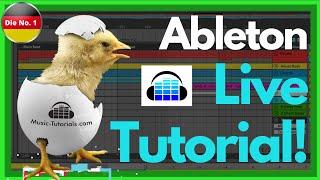 Für Ableton Live Anfänger: Der beste Online Kurs