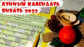 Что посеять в Январе? Как спланировать посадки? Лунный посевной календарь огородника январь 2022