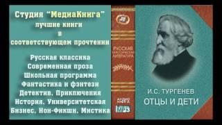 Тургенев И. С. «Отцы и дети», засл. артист С.Ярмолинец, аудиокнига