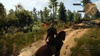 The Witcher 3: Wild Hunt (GTX 750 TI - Intel I5 3550 - 8GB Ram)