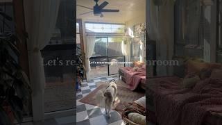 Rearrange the sunroom with me #sunroom #interiorstyling #rearranging #cozyhome #plantas #bohohome
