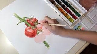 Помидоры. Иллюстрация акварелью. Овощи акварелью. Tomatoes drawing. Watercolor. Speedpaint.