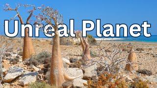 Unreal Planet - Earth’s Most Surreal Places 2024 | Part 1