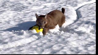 Месси и первый весенний мяч!