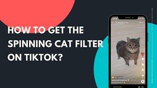 How to get the Spinning Cat filter on TikTok