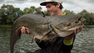 Chasing Catfish for a weekend - Meerval - Silure - Waller Fishing