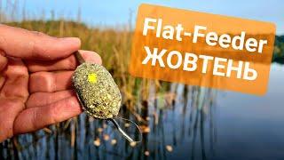 Флет Фідер у Жовтні. Рибалка зранку до вечора