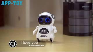 Voice Control Pocket Robot