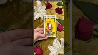 Обзор колоды Таро за 1 минуту ️The Rider Tarot Deck️Знаменитая  «Желтая Коробка» от USGames.