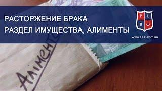 Расторжение брака. Раздел имущества. Алименты. Адвокат Павел Лыска Харьков. Передача Pro Закон