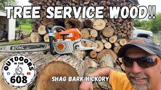 Is Tree Service Wood For You⁉️ How I Do It