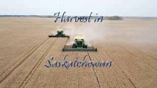 Wheat Harvest in Saskatchewan