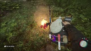 [Sons Of The Forest] Camping fire and cooking improve be like......