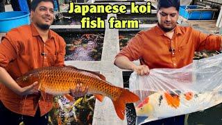 india's biggest Japanese koi fish farm tour | தமிழ்