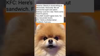 #stories #dog #shorts