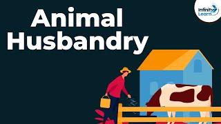 Animal Husbandry and Cattle Farming | Don't Memorise