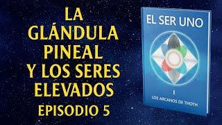 EL SER UNO | Lectura en Vivo | Episodio 5: Glándula Pineal y La Evolución