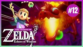 The Legend of Zelda Echoes of Wisdom Part 12 | Gameplay Walkthrough COMPLETE Playthrough | Full Game