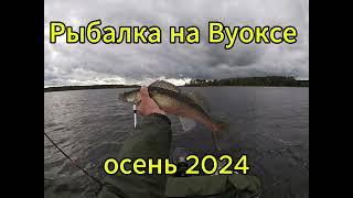 Рыбалка на Вуоксе. Спиннинг. Осень 2024