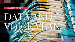 Data and voice VLAN - CompTIA Network+ N10-008 Domain 2.19