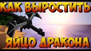 Как вырастить яйцо дракона в minecraft?Без модов!