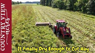 Finally Cutting our Hay Fields & Visiting the Homestead Freedom Festival