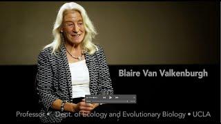 Blaire Van Valkenburgh  - Rebels, Scholars, Explorers. Women in Vertebrate Paleontology