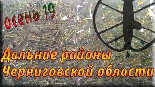 Дальние районы Черниговской области. Коп Фортуна М3 и Квазар АРМ. Осень 2019.