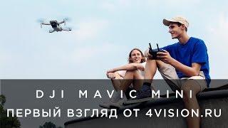 DJI Mavic Mini - Первый взгляд от 4vision.ru