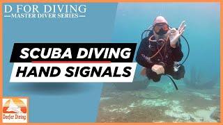 The Diver's Code: Essential Scuba Diving Hand Signals