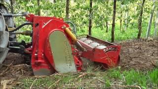 SEPPI M. - MIDISOIL dt - NEW! Forestry tiller & crusher / Forstfräse & Steinbrecher