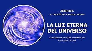 LA LUZ ETERNA DEL UNIVERSO | Pamela Kribbe canaliza a Jeshua