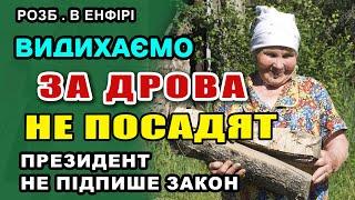 Видихаємо. За ДРОВА садить не будуть - Зеленський не підпише закон ВВС