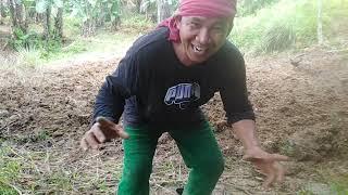 Samahan niyo ko mag araro! | Gulay na naman 