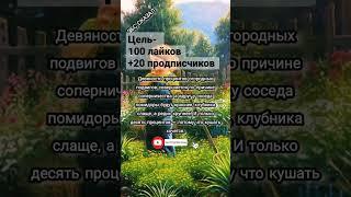 #мысли #видео #смыслжизни #цитаты #советы #лютый #стихи #факты