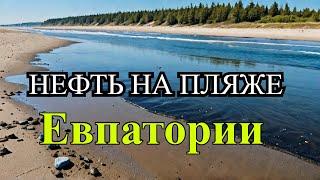 Мазутное загрязнение на побережье Евпатории: что происходит?